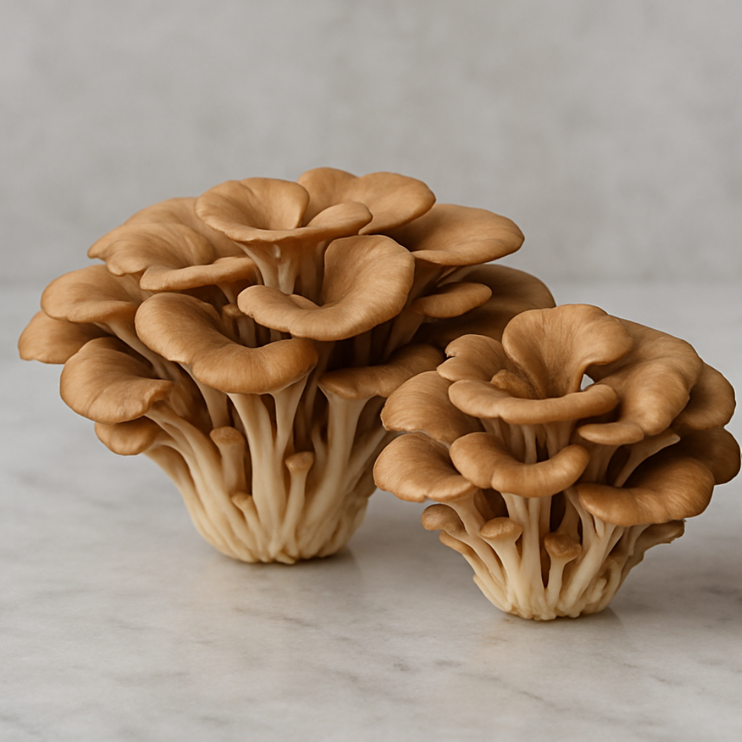 maitake-1.png
